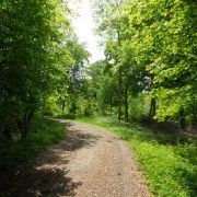 Bois de Varambeaumont