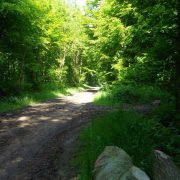 Bois de la Vierge
