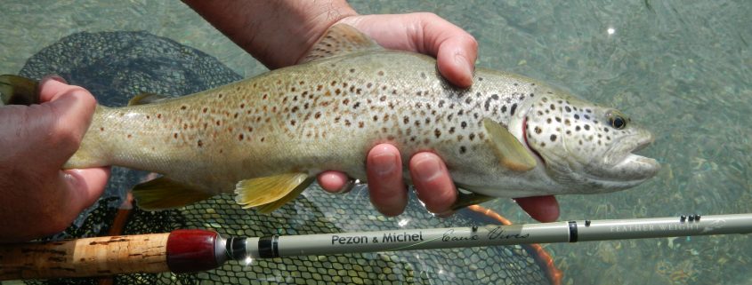 peche truite 27