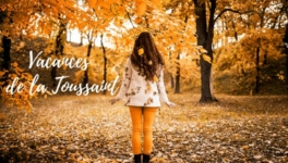 bandeau-newsletter-2
