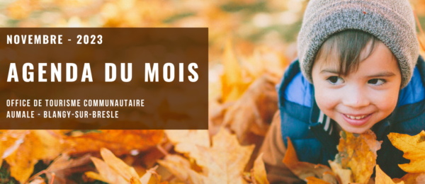 bandeau-newsletter-novembre