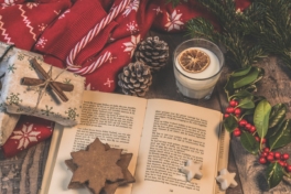 Livres Noël ©Ylanite Koppens Pixabay