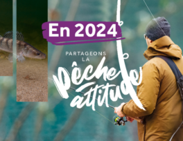 SIT CARTEDEPECHE 274 HomeSiteCdP2024