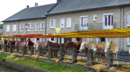 foire-saint-martin2
