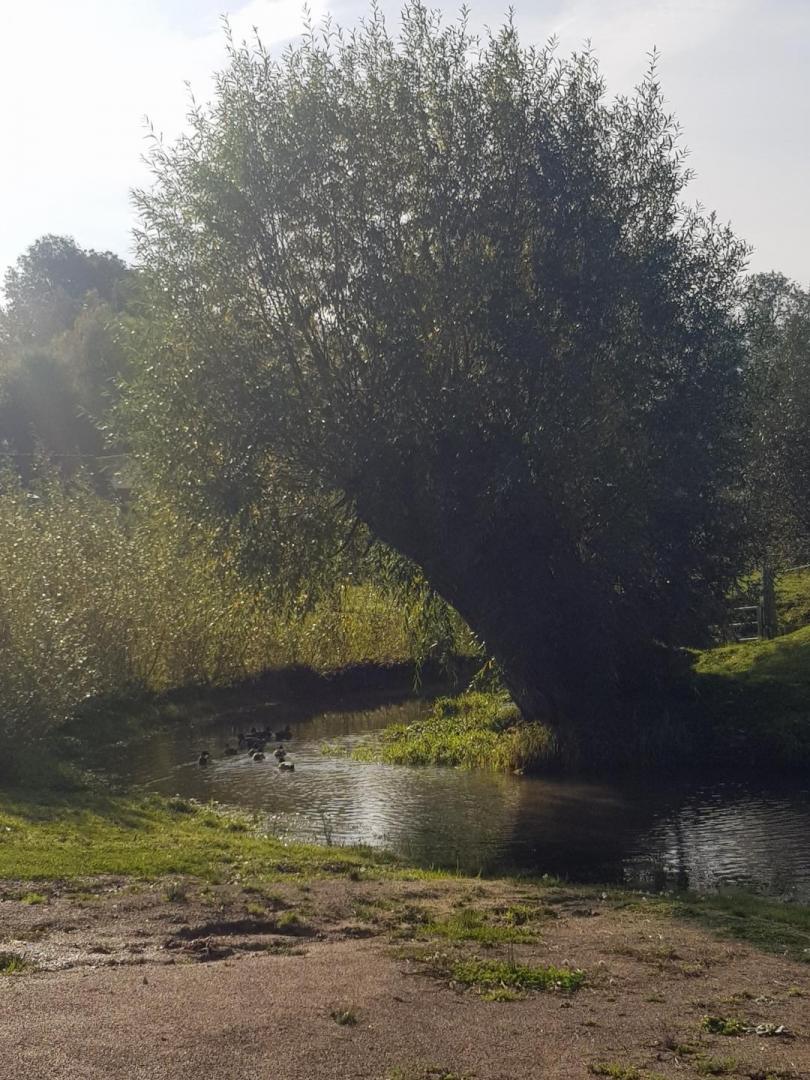 VISMES-AU-VAL-Du-four-a-pain
