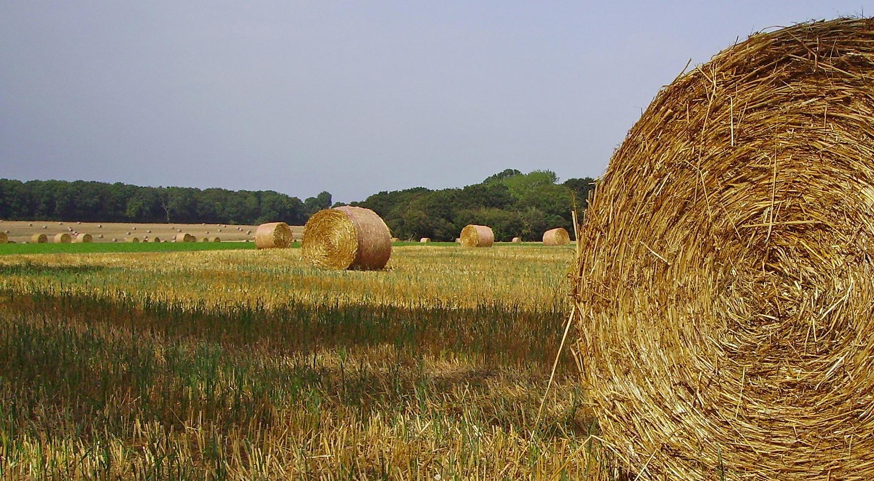 VISMES-AU-VAL-Du-four-a-pain
