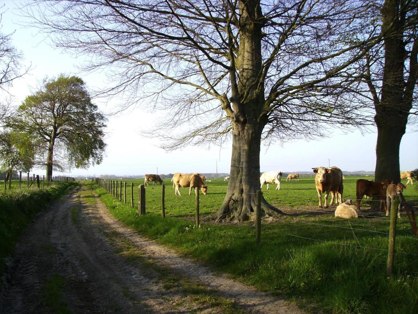 VISMES-AU-VAL-Du-four-a-pain