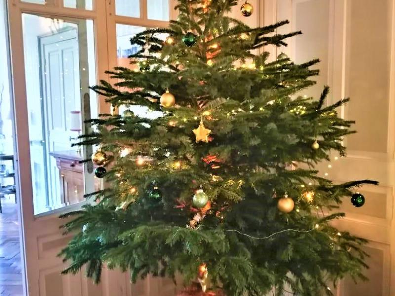 Gites-de-France®-Villa-Mona