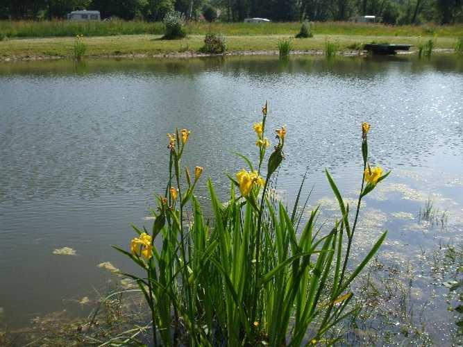 BOUTTENCOURT-DOMAINE-DE-SERY