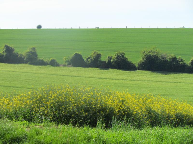 Gites-de-France®-La-Forge