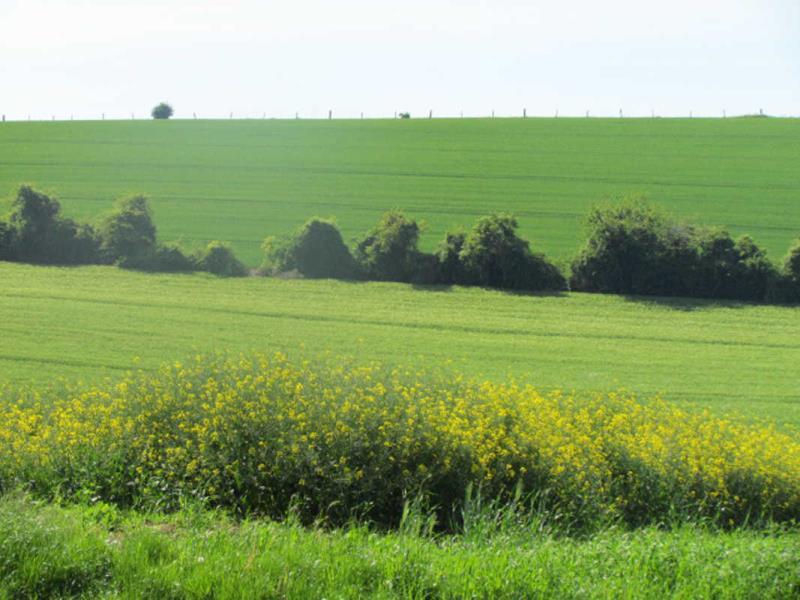 Gites-de-France®-La-Forge