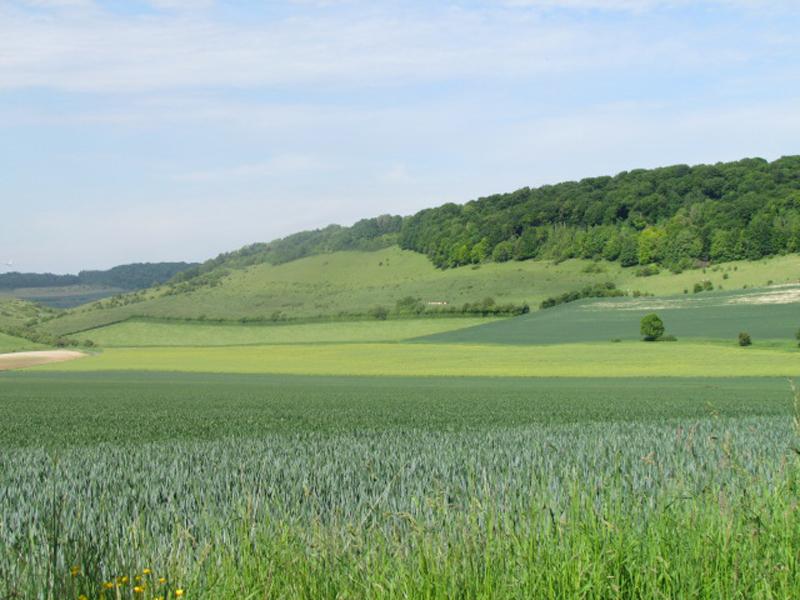 Gites-de-France®-La-Forge