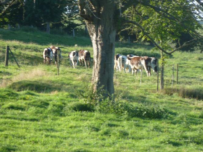 Gites-de-France®-Le-Fournil