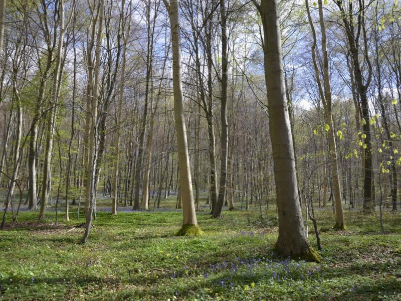 Gites-de-France®-Gite-du-Vallon-dore