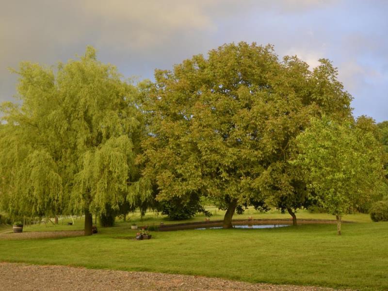 Gites-de-France®-Gite-du-Vallon-dore