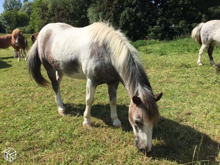 Gites-de-France®-Gite-du-Vallon-dore