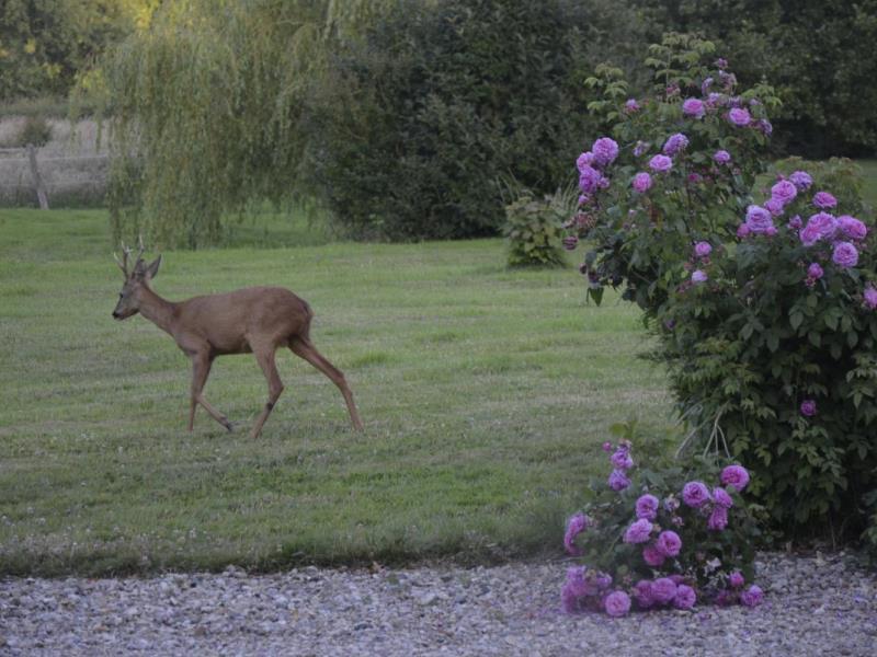 Gites-de-France®-Gite-du-Vallon-dore
