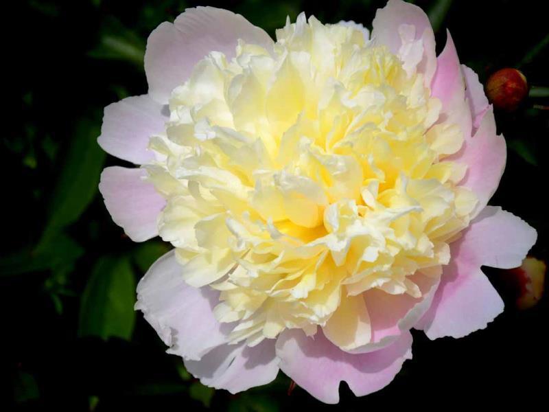 Gites-de-France®-Gite-du-Vallon-dore