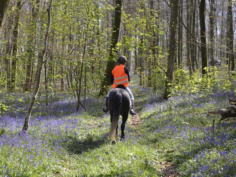 Gites-de-France®-Gite-du-Vallon-dore
