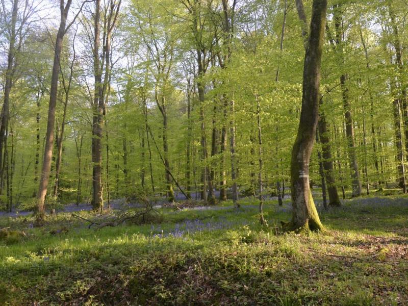 Gites-de-France®-Gite-du-Vallon-dore