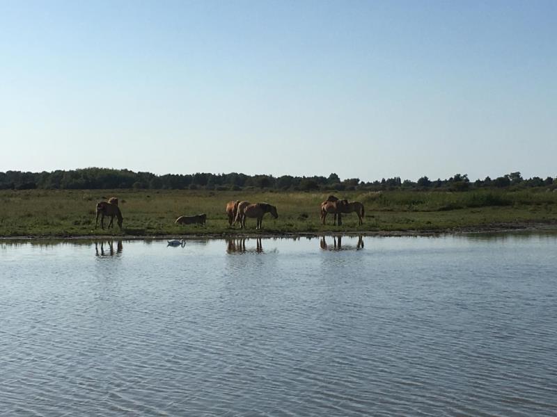 Gites-de-France®-Gite-du-Vallon-dore