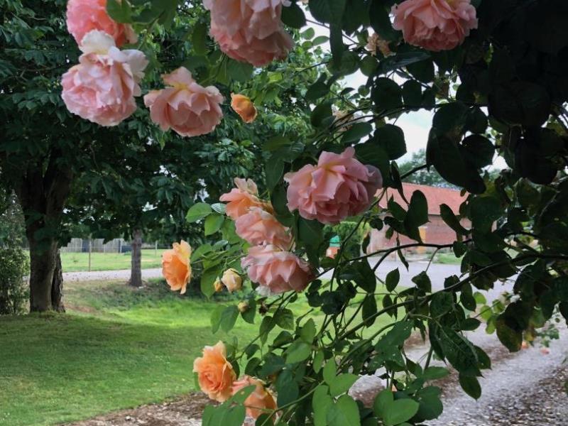 Gites-de-France®-Gite-dEclehetre