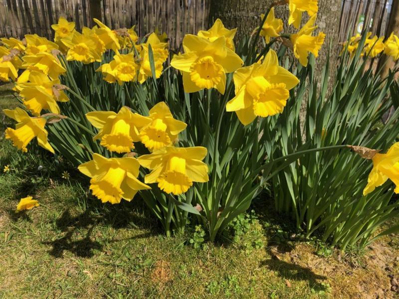 Gites-de-France®-Gite-dEclehetre