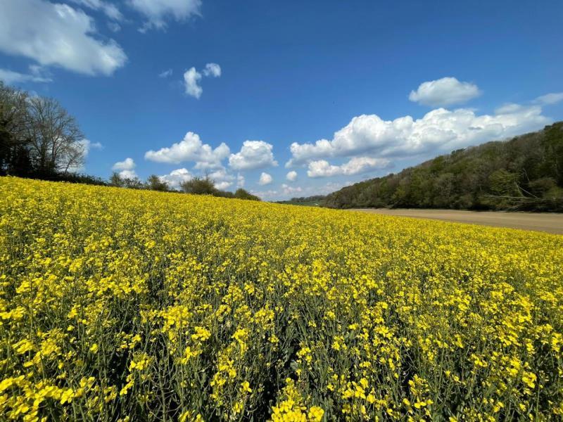 Gites-de-France®-Gite-dEclehetre