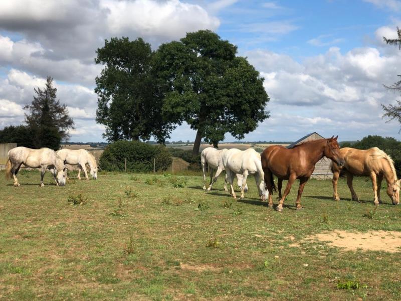 Gites-de-France®-Gite-dEclehetre