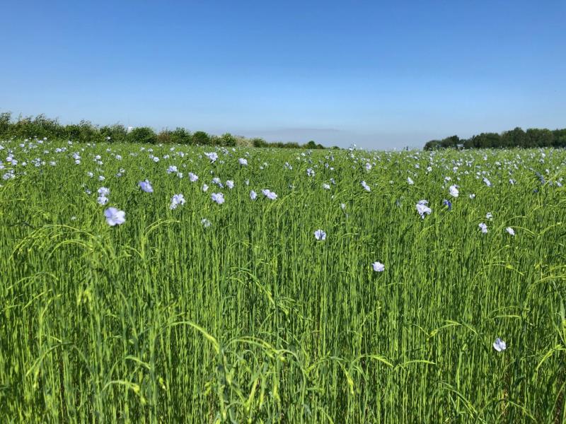 Gites-de-France®-Gite-dEclehetre