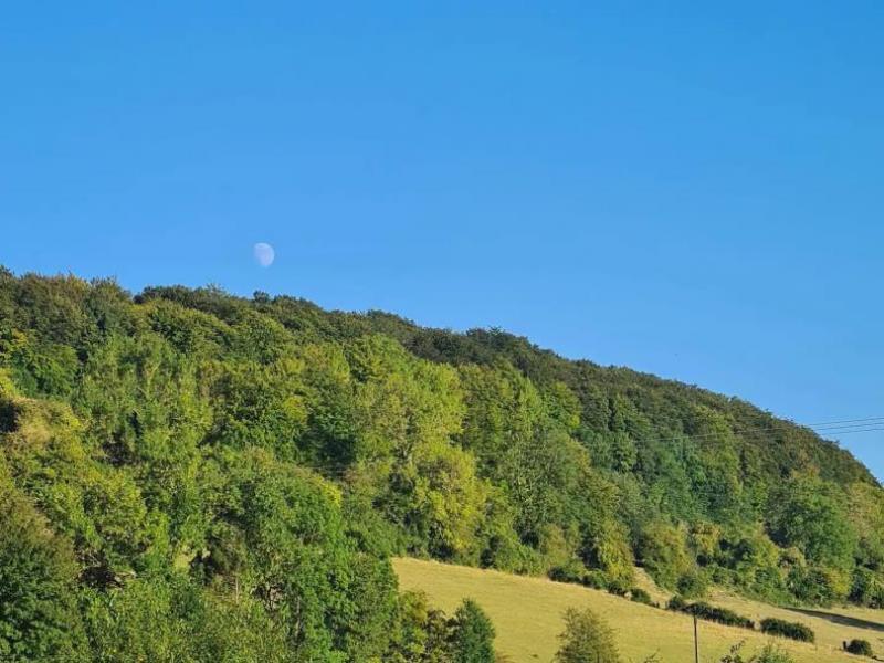 Gites-de-France®-Le-Frene-Chantant