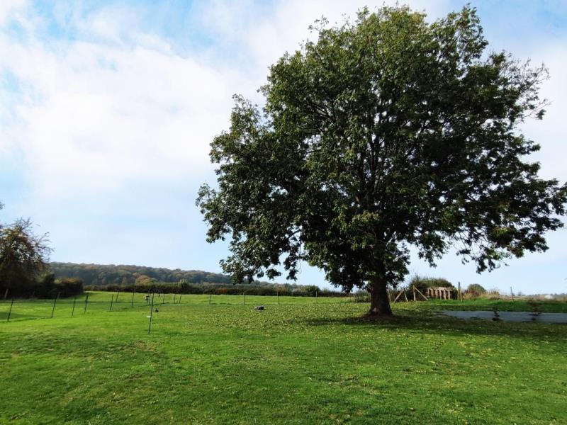 Gites-de-France®-Le-Frene-Chantant