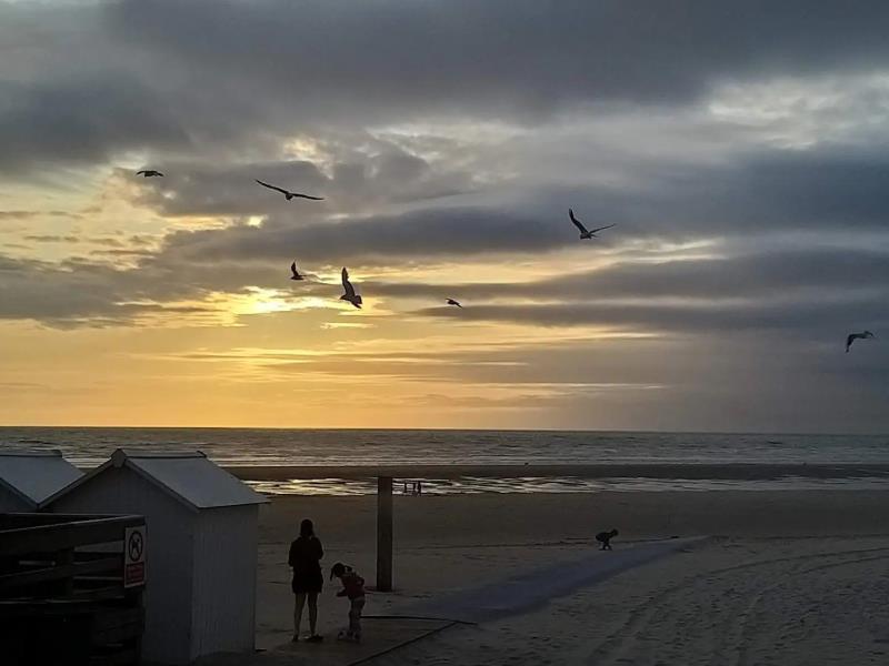 Gites-de-France®-Le-Frene-Chantant