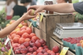 11ème édition du marché du monde à Aumale